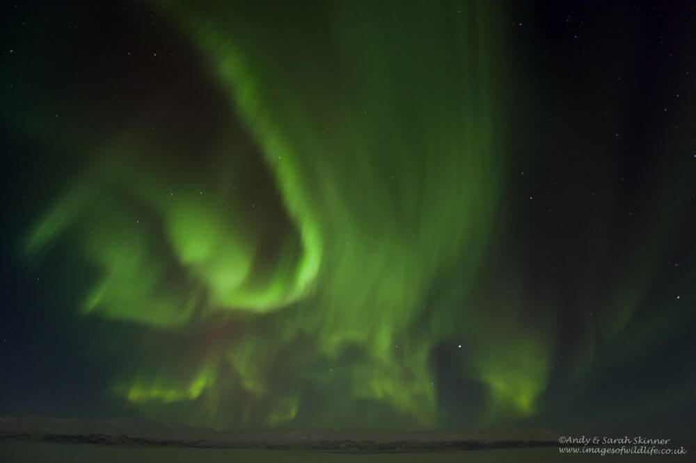 Aurora Borealis