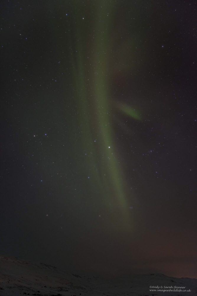 Aurora round two!